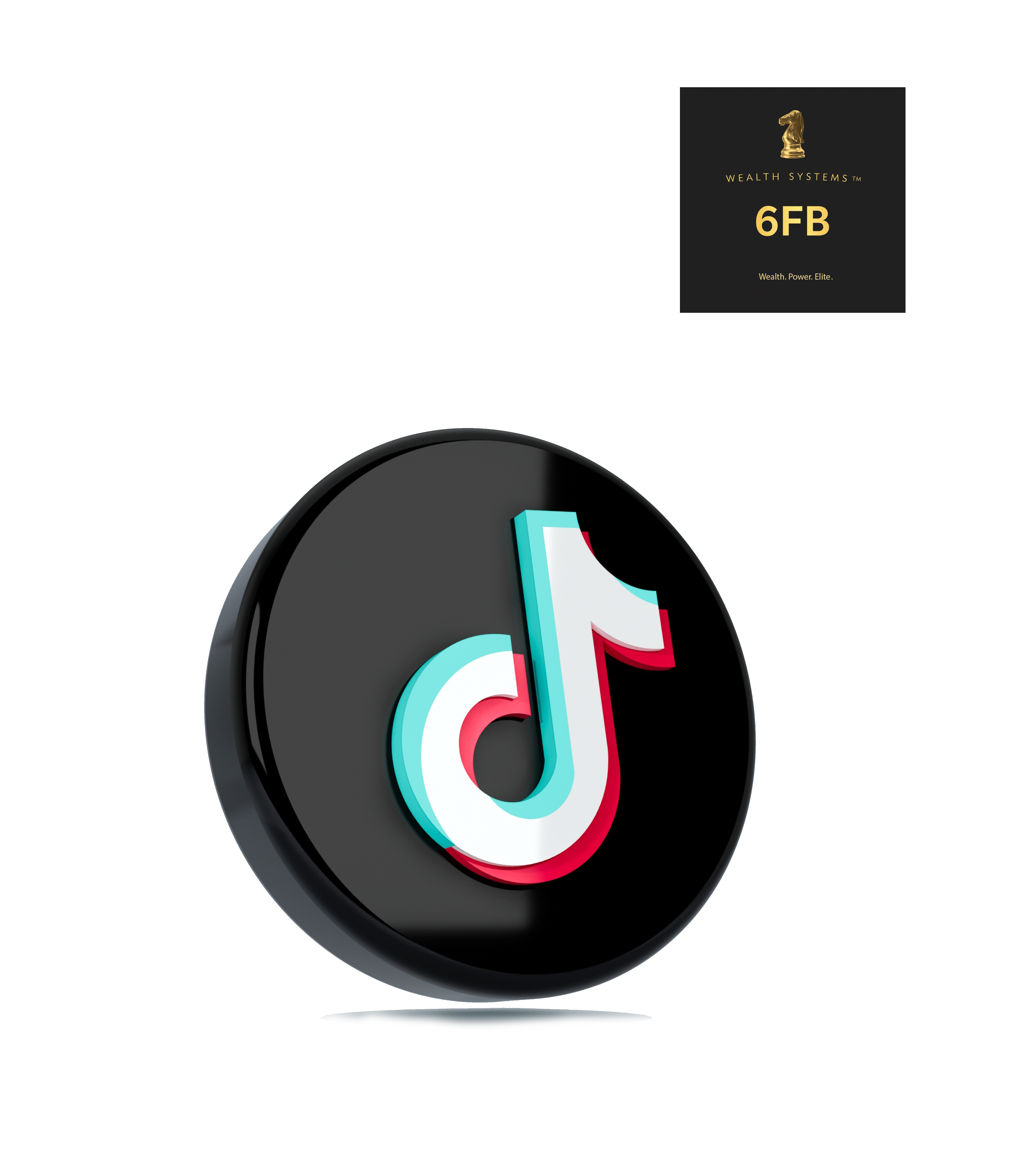 TIKTOK EARNING HACK PLR 1